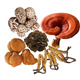 Illustration for article titled How to pick The Best Ganoderma Draw out With regard to Health